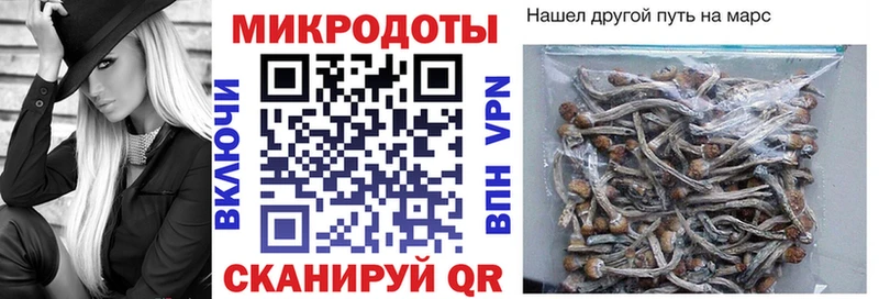 продажа наркотиков  Кыштым  Псилоцибиновые грибы MAGIC MUSHROOMS 