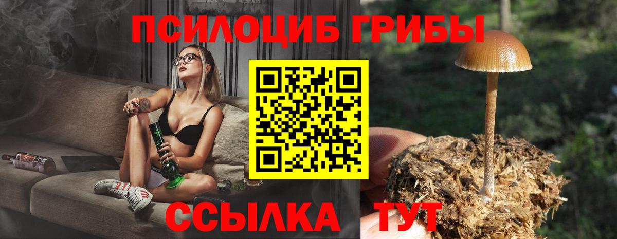 Кыштым  Псилоцибиновые грибы мицелий  Вход с VPN 