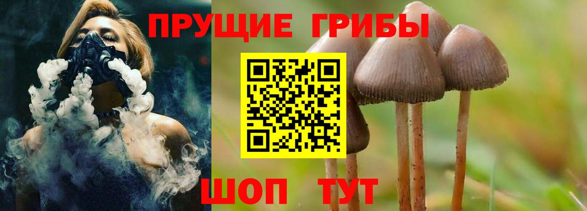 Псилоцибиновые грибы мухоморы Кыштым